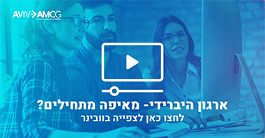 ארגון היברידי – מאיפה מתחילים
